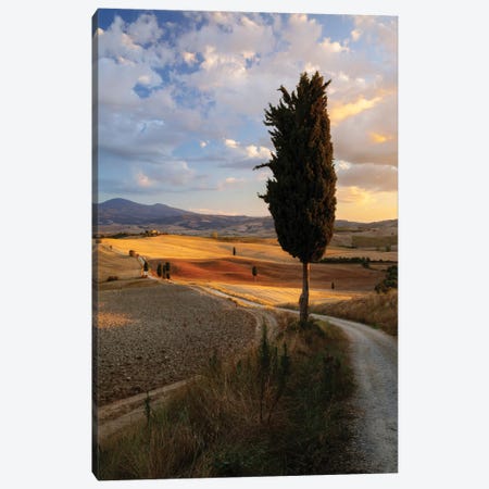 Countryside Sunset, Val d'Orcia, Tuscany, Italy Canvas Print #TEO33} by Matteo Colombo Canvas Art Print