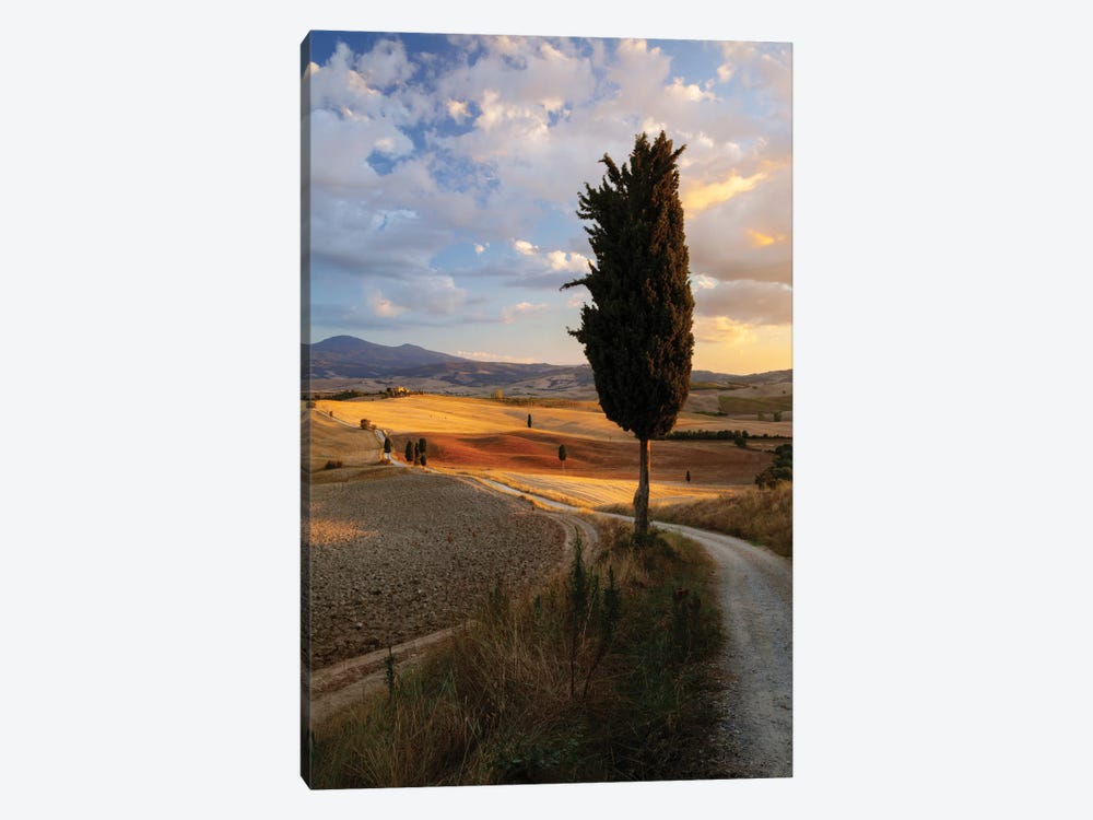 Countryside Sunset, Val d'Orcia, Tuscany, Italy by Matteo Colombo 1-piece Canvas Wall Art