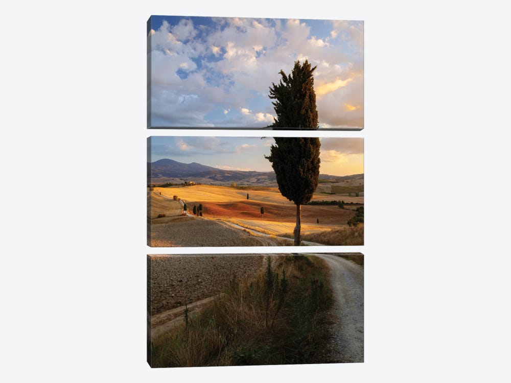 Countryside Sunset, Val d'Orcia, Tuscany, Italy by Matteo Colombo 3-piece Canvas Wall Art