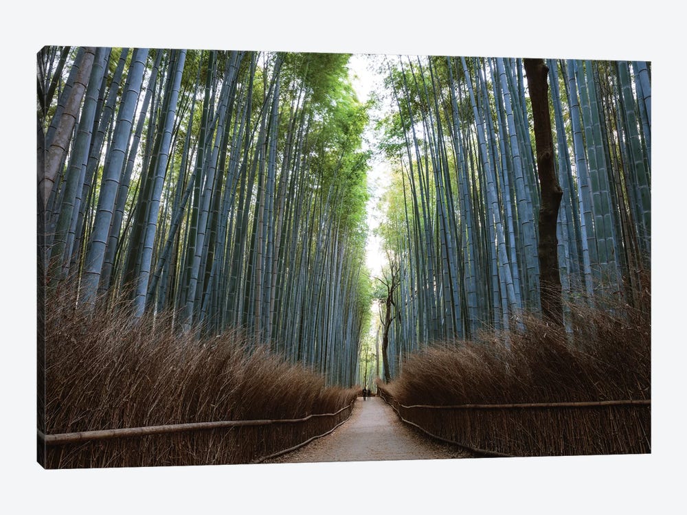 Arashiyama Bamboo Forest, Kyoto, Japan by Matteo Colombo 1-piece Art Print