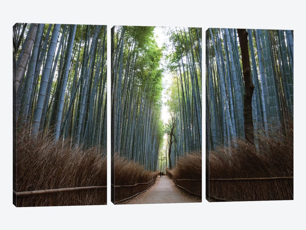 Arashiyama Bamboo Forest, Kyoto, Japan by Matteo Colombo 3-piece Canvas Art Print