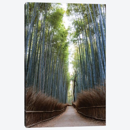 Arashiyama Bamboo Grove, Kyoto, Japan Canvas Print #TEO346} by Matteo Colombo Canvas Art