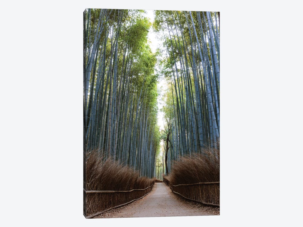 Arashiyama Bamboo Grove, Kyoto, Japan 1-piece Canvas Wall Art