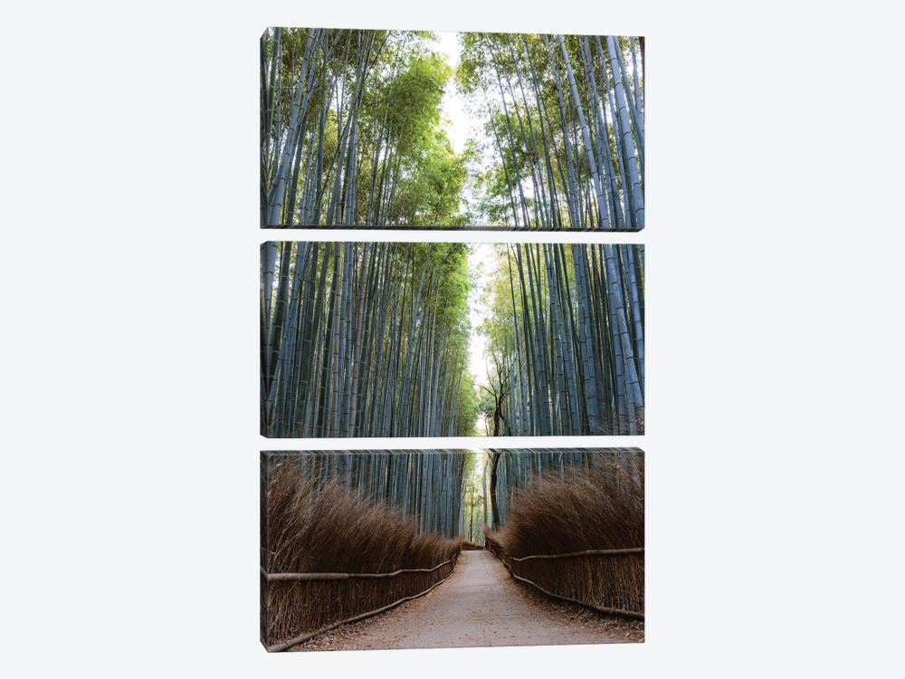 Arashiyama Bamboo Grove, Kyoto, Japan by Matteo Colombo 3-piece Canvas Artwork