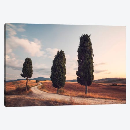 Cypress Lined Road, Tuscany, Italy Canvas Print #TEO34} by Matteo Colombo Canvas Artwork