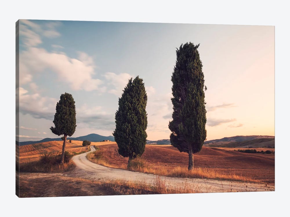 Cypress Lined Road, Tuscany, Italy by Matteo Colombo 1-piece Canvas Art Print