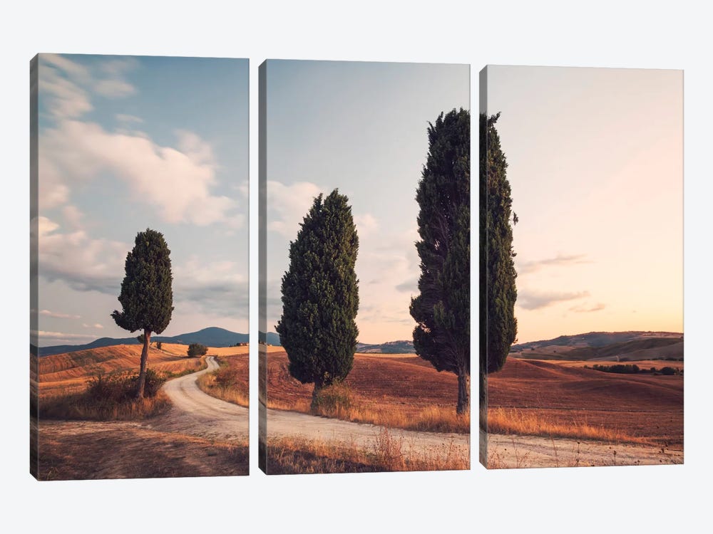Cypress Lined Road, Tuscany, Italy by Matteo Colombo 3-piece Art Print