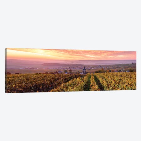 Autumn In Champagne, France Canvas Print #TEO350} by Matteo Colombo Canvas Art
