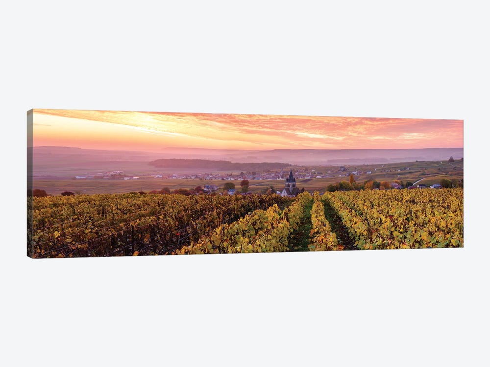 Autumn In Champagne, France by Matteo Colombo 1-piece Canvas Print