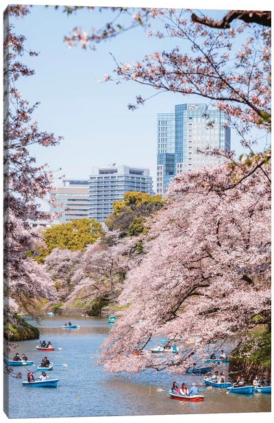 Cherry Blossom In Tokyo, Japan I Canvas Art Print - Blossom Art