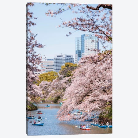Cherry Blossom In Tokyo, Japan I Canvas Print #TEO356} by Matteo Colombo Canvas Print