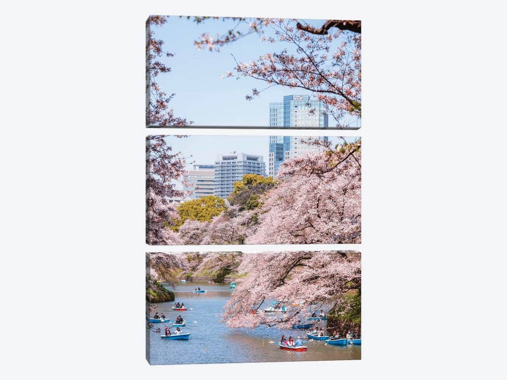 Cherry Blossom In Tokyo, Japan I by Matteo Colombo 3-piece Canvas Print