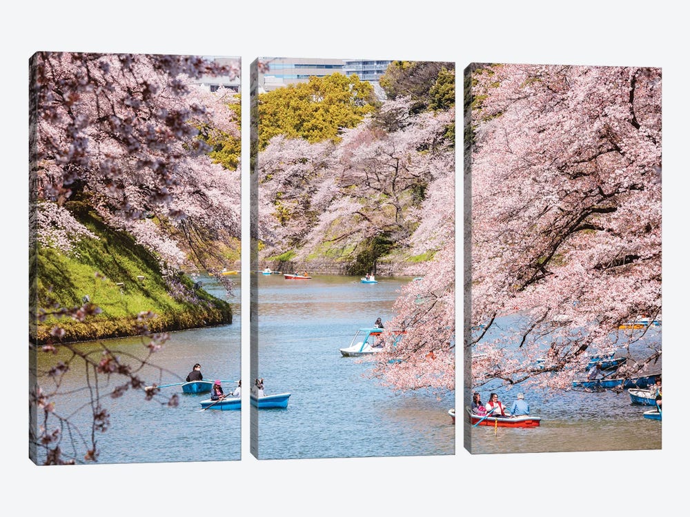 Cherry Blossom In Tokyo, Japan II by Matteo Colombo 3-piece Canvas Wall Art