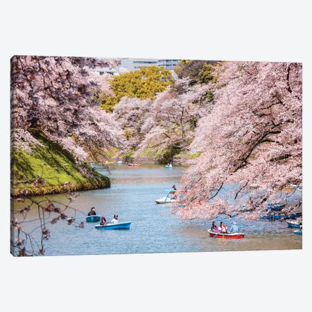 Cherry Blossom In Tokyo, Japan II Canvas Print #TEO357} by Matteo Colombo Art Print