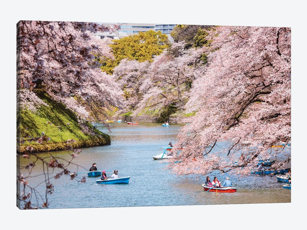 Cherry Blossom In Tokyo, Japan II by Matteo Colombo 1-piece Canvas Artwork