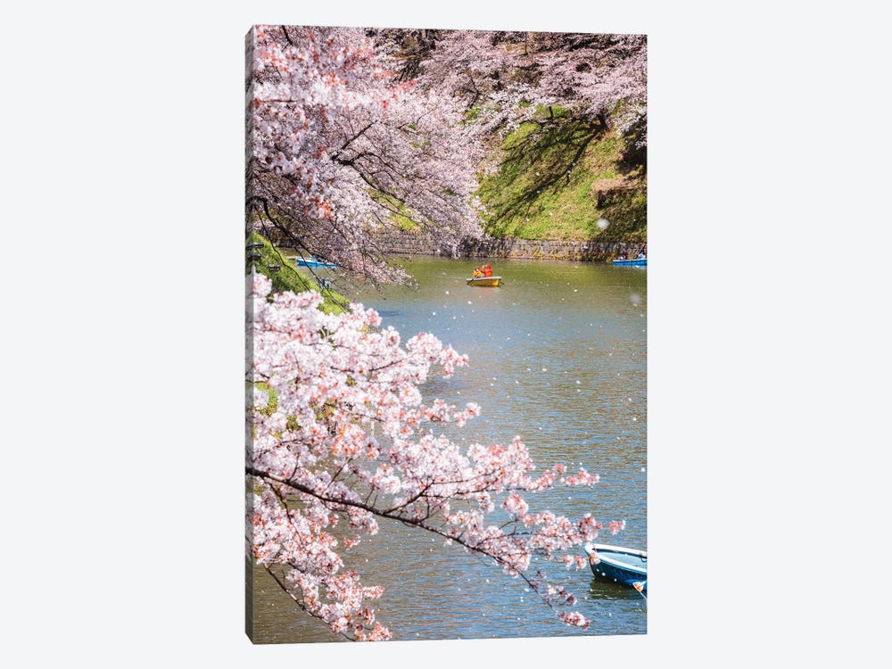 Cherry Blossom In Tokyo, Japan III by Matteo Colombo 1-piece Canvas Art Print