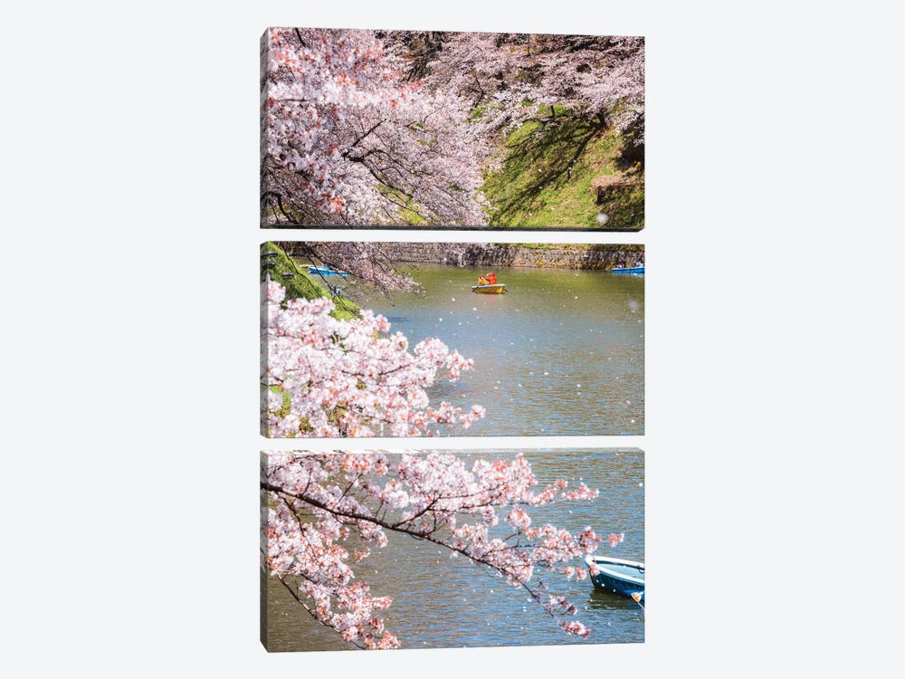 Cherry Blossom In Tokyo, Japan III by Matteo Colombo 3-piece Canvas Art Print