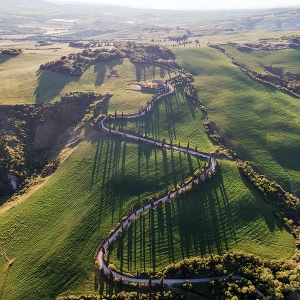 Hillsides: Cypress Lined Road, Tuscany by Matteo Colombo