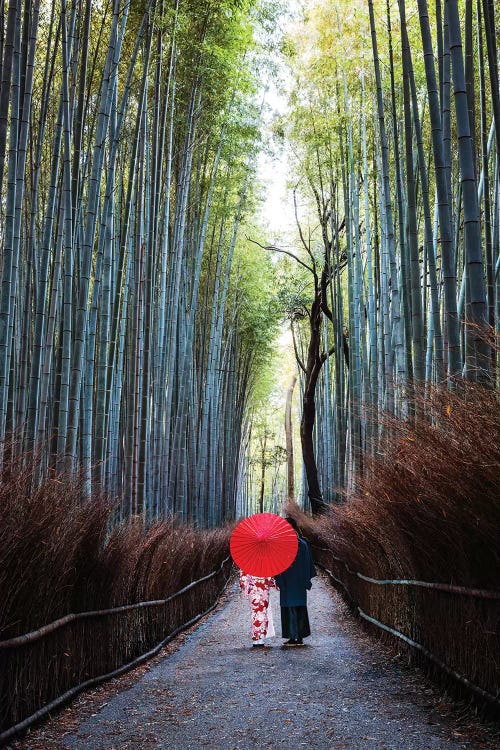 Japanese Couple At Arashiyama Forest, Kyoto I