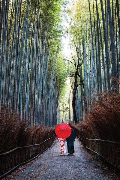 Arashiyama Bamboo Forest: Japanese Couple At Arashiyama Forest, Kyoto I by Matteo Colombo