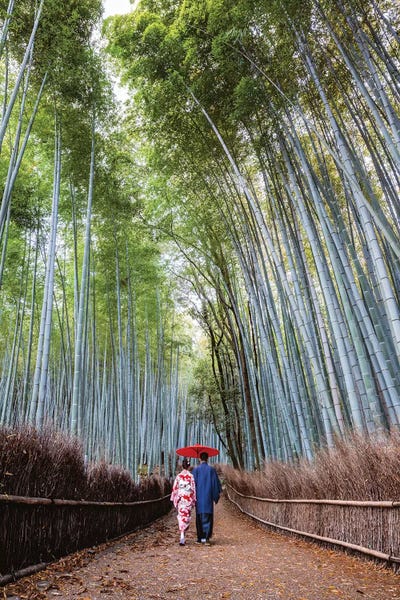 Umbrellas: Japanese Couple At Arashiyama Forest, Kyoto II by Matteo Colombo