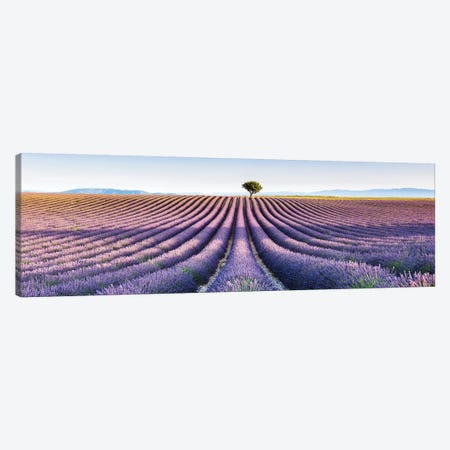 Lavender Field, Provence III Canvas Print #TEO383} by Matteo Colombo Canvas Art Print