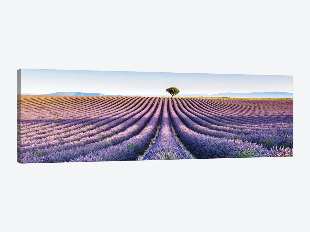 Lavender Field, Provence III 1-piece Canvas Print