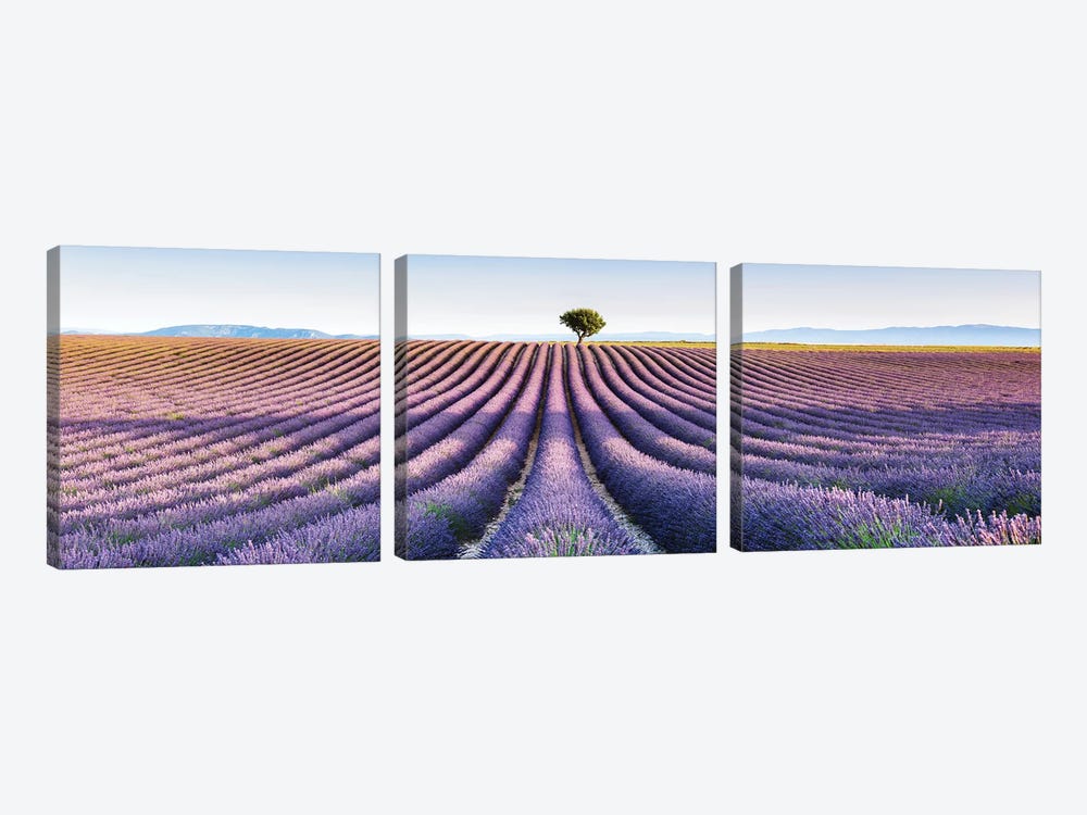 Lavender Field, Provence III by Matteo Colombo 3-piece Canvas Art Print
