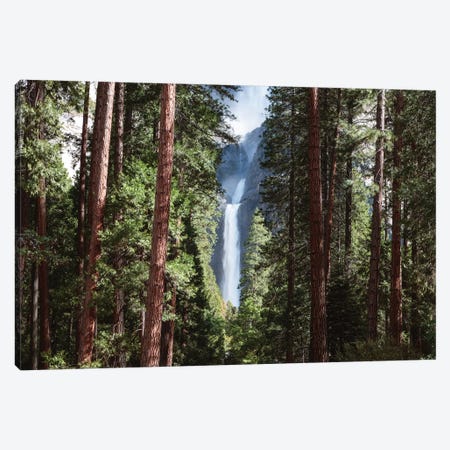 Lower Yosemite Fall And Forest Canvas Print #TEO388} by Matteo Colombo Canvas Print