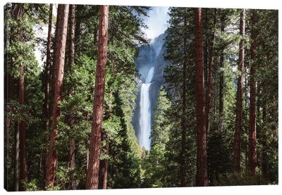 Lower Yosemite Fall And Forest Canvas Art Print - Yosemite National Park Art