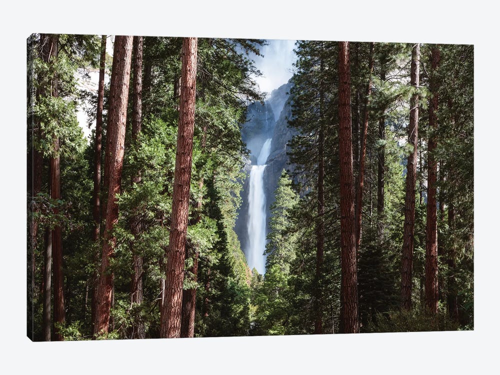 Lower Yosemite Fall And Forest by Matteo Colombo 1-piece Canvas Wall Art