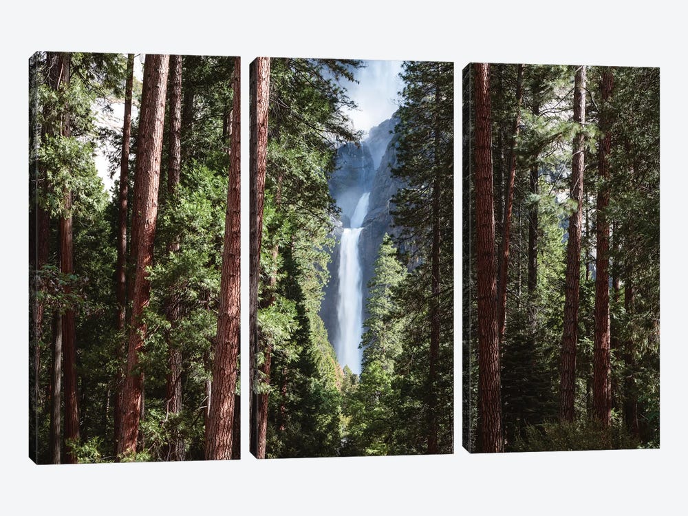 Lower Yosemite Fall And Forest by Matteo Colombo 3-piece Canvas Wall Art