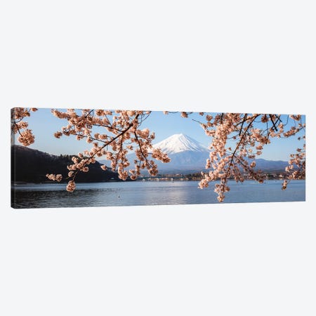 Mount Fuji And Cherry Trees, Japan I Canvas Print #TEO399} by Matteo Colombo Canvas Artwork