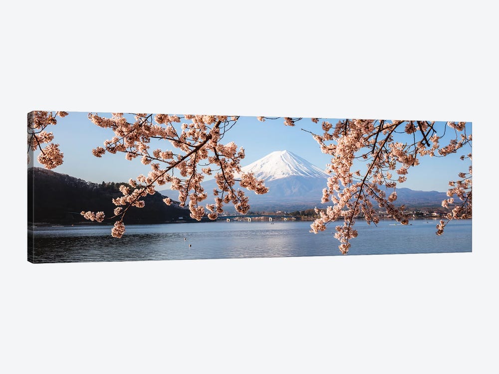 Mount Fuji And Cherry Trees, Japan I by Matteo Colombo 1-piece Canvas Art