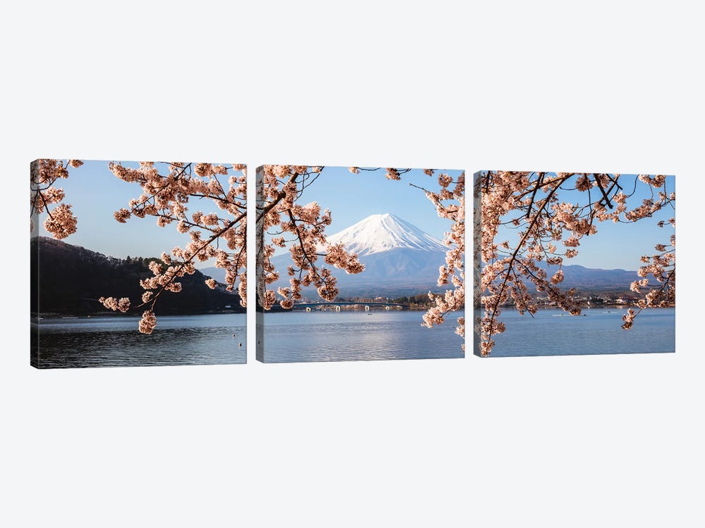 Mount Fuji And Cherry Trees, Japan I by Matteo Colombo 3-piece Canvas Art