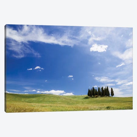 Famous Cypress Tree Grove, Val d'Orcia, Tuscany, Italy Canvas Print #TEO39} by Matteo Colombo Canvas Print