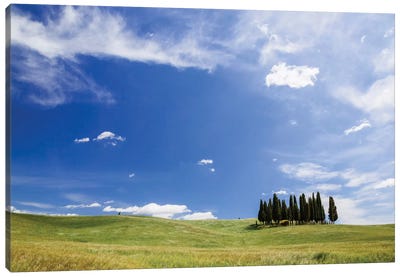Famous Cypress Tree Grove, Val d'Orcia, Tuscany, Italy Canvas Art Print - Hill & Hillside Art