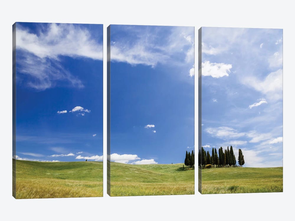 Famous Cypress Tree Grove, Val d'Orcia, Tuscany, Italy by Matteo Colombo 3-piece Canvas Artwork
