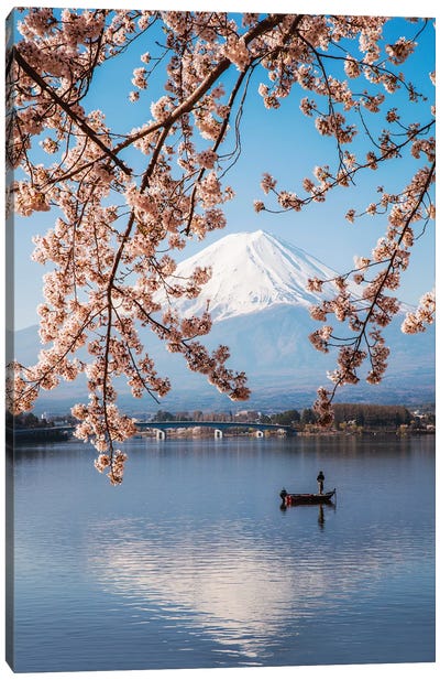 Mount Fuji And Cherry Trees, Japan II Canvas Art Print - Blossom Art