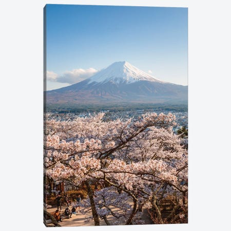 Mount Fuji And Cherry Trees, Japan III Canvas Print #TEO401} by Matteo Colombo Canvas Wall Art