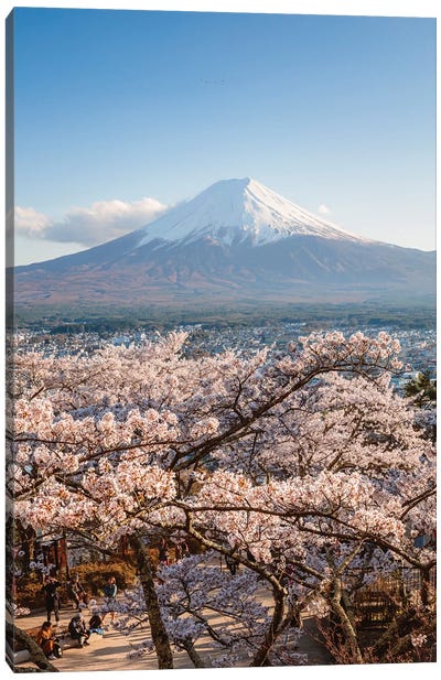Mount Fuji And Cherry Trees, Japan III Canvas Art Print - Cherry Blossom Art