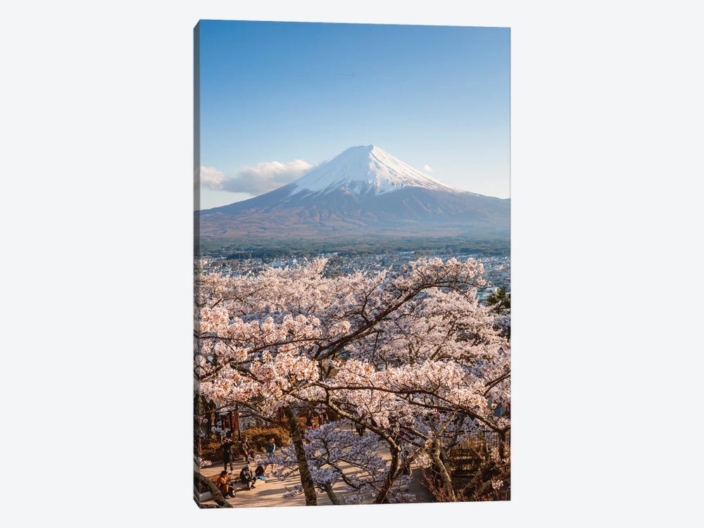 Mount Fuji And Cherry Trees, Japan III by Matteo Colombo 1-piece Canvas Artwork