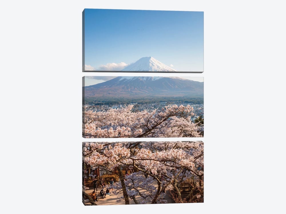 Mount Fuji And Cherry Trees, Japan III by Matteo Colombo 3-piece Canvas Artwork