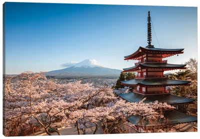 Pagoda And Cherry Trees, Fuji Five Lakes, Japan I Canvas Art Print - Pagodas
