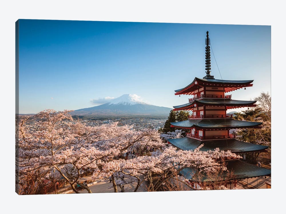 Pagoda And Cherry Trees, Fuji Five Lakes, Japan I by Matteo Colombo 1-piece Canvas Print