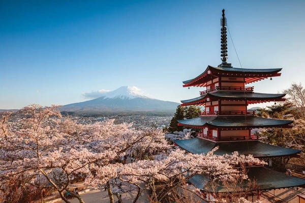 Pagoda And Cherry Trees I, Fuji Five Lakes, Japan