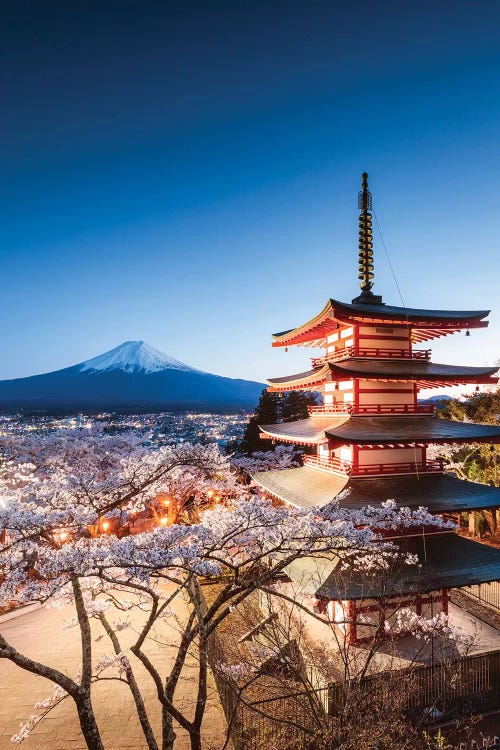 Pagoda And Cherry Trees, Fuji Five Lakes, Japan II