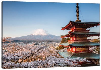 Pagoda And Cherry Trees, Fuji Five Lakes, Japan III Canvas Art Print - Pagodas