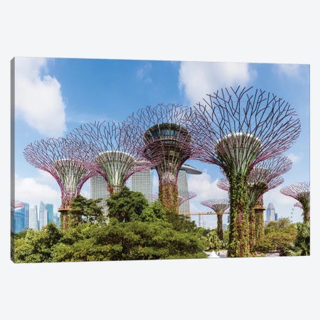 Panoramic Of Supertrees, Gardens By The Bay, Singapore Canvas Print #TEO411} by Matteo Colombo Canvas Print