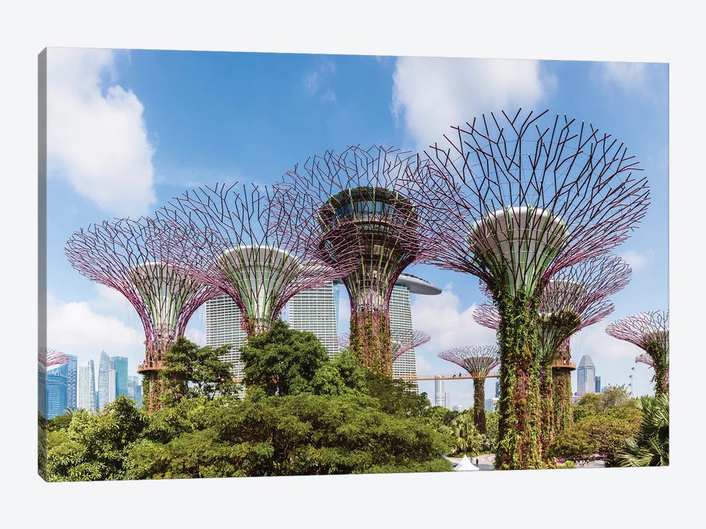 Panoramic Of Supertrees, Gardens By The Bay, Singapore by Matteo Colombo 1-piece Art Print